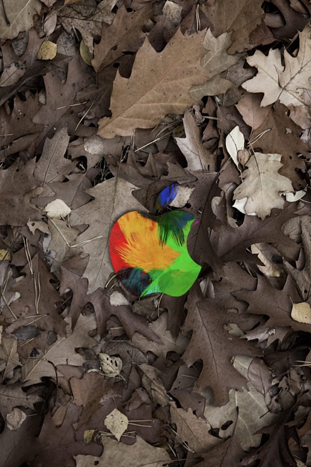 Яблоко в листьях обои