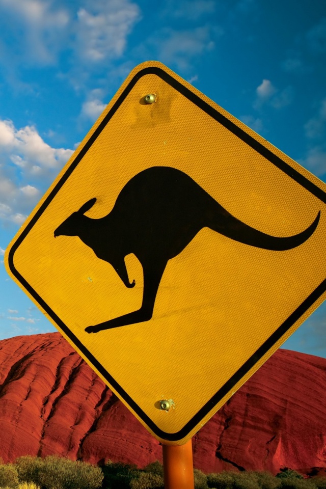 Осторожно, кенгуру! обои