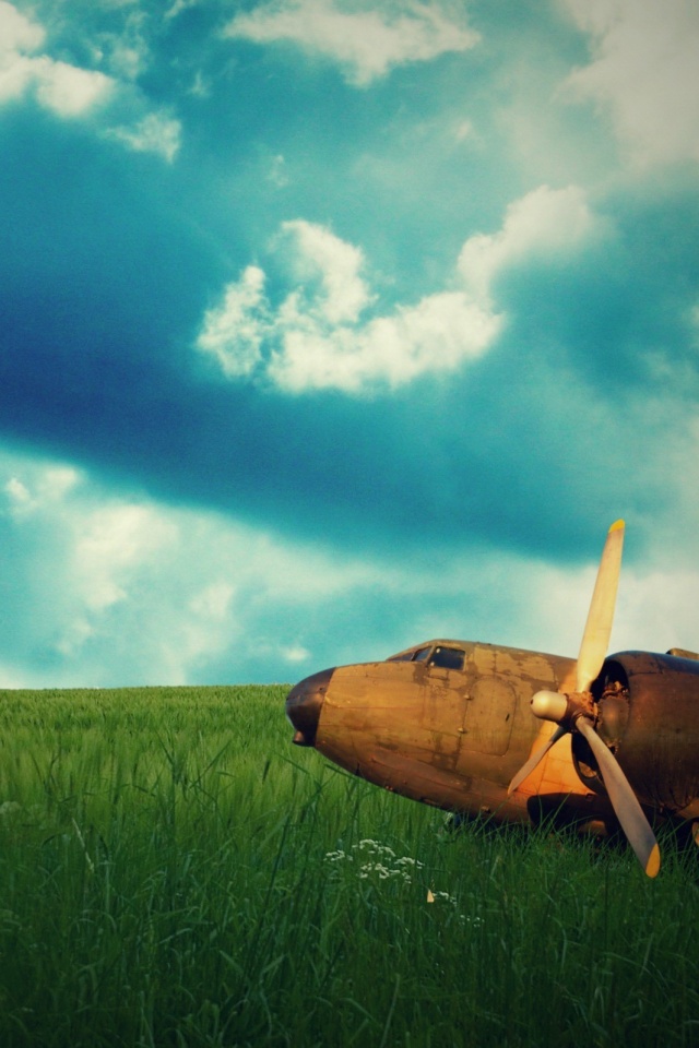 Старый ржавый самолет на лугу обои