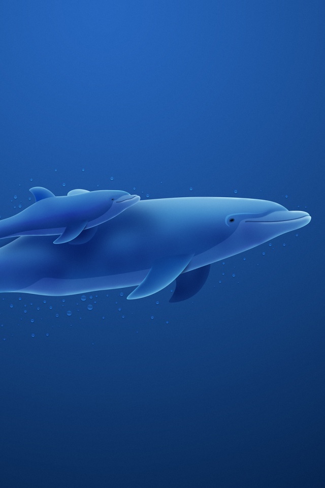 Дельфин и дельфиненок обои