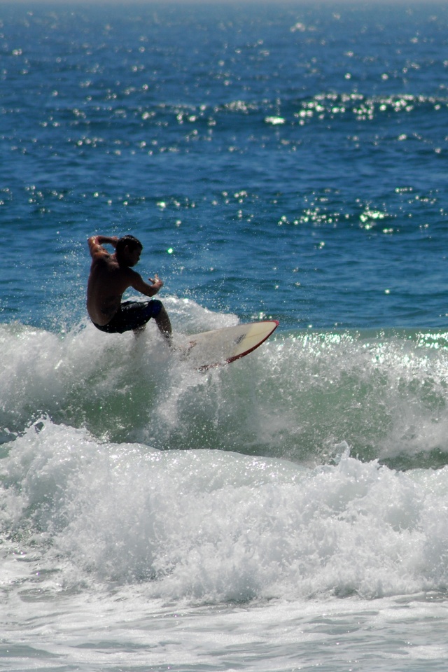 Сёрфенгист поймал волну обои