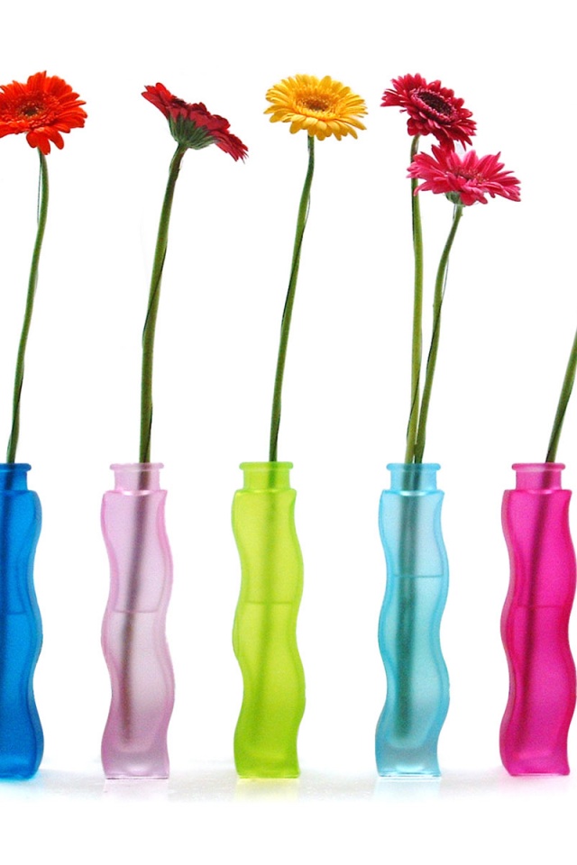 Герберы в изогнутых вазах обои