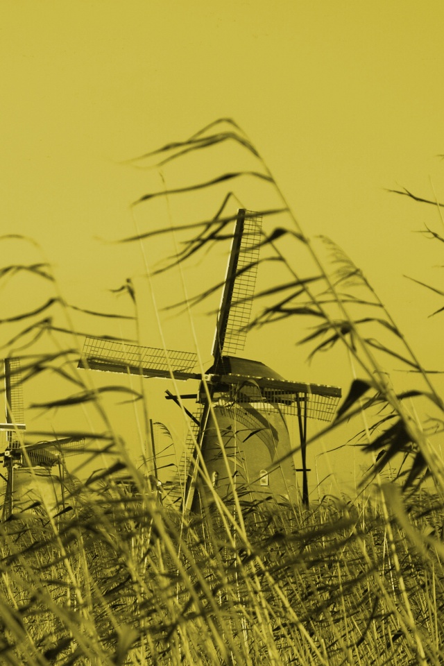 Мельницы обои