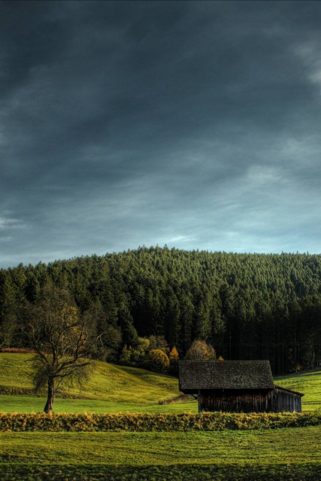 Домик в поле обои