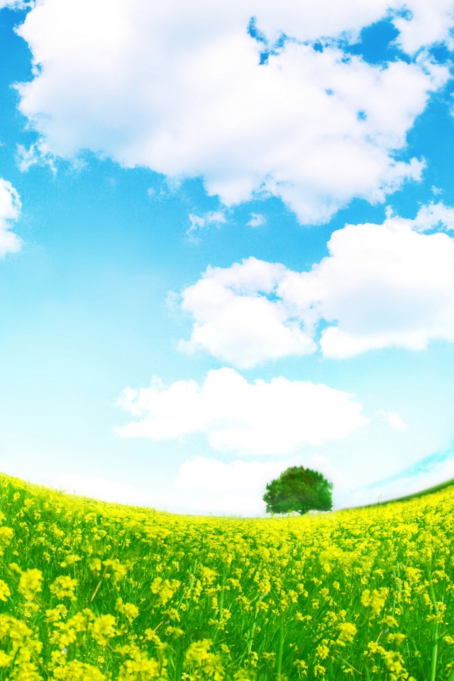 Искаженный мир обои