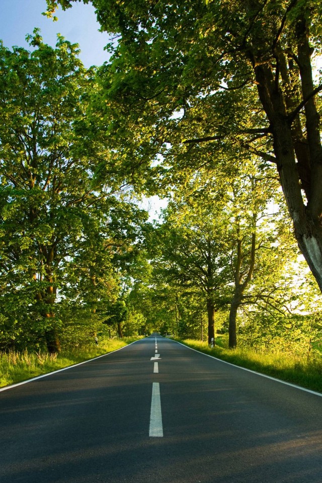 Прямая дорога обои