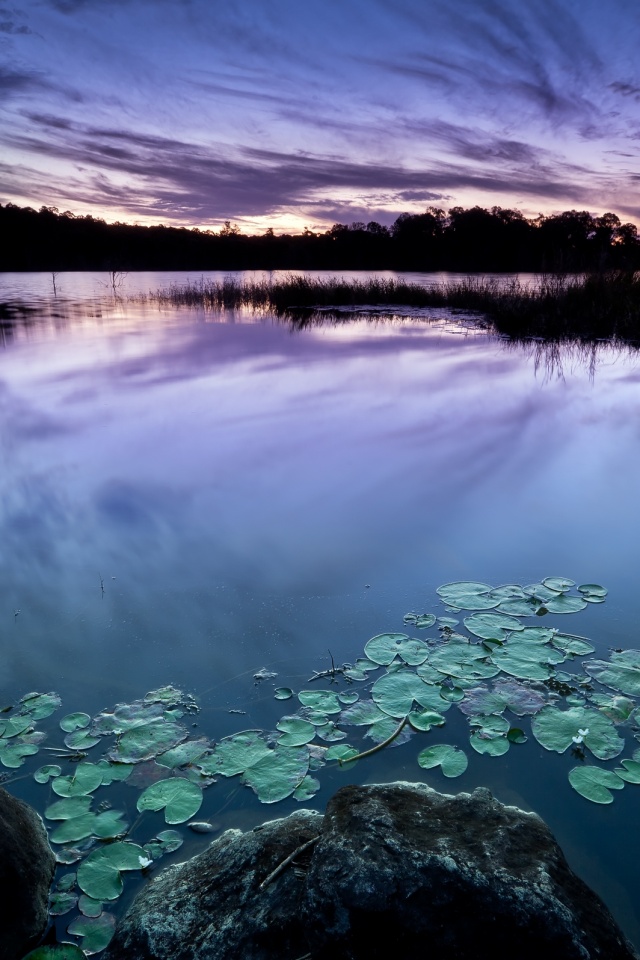 Озеро поздним вечером обои