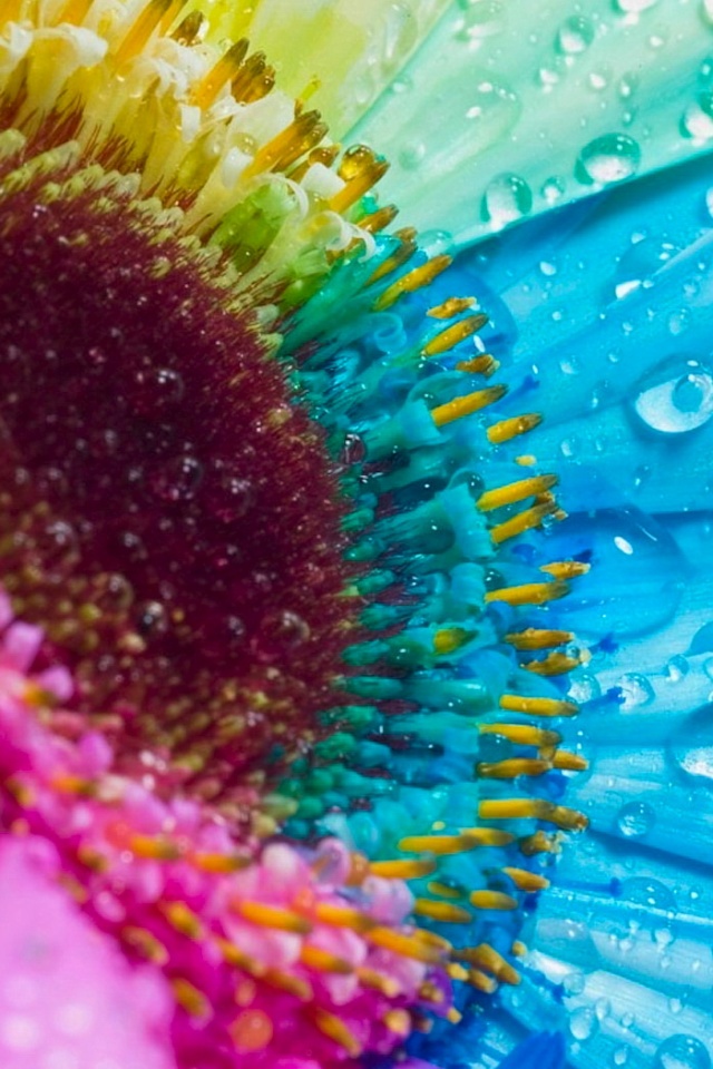 Цветик семицветик обои