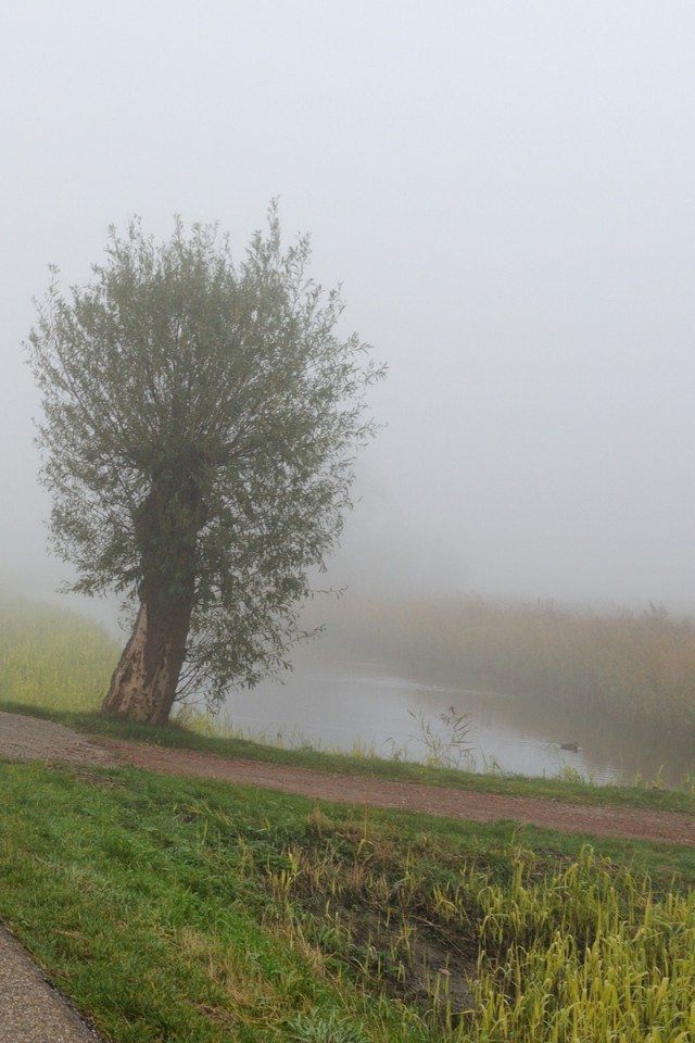 Дорога растворяется в тумане обои