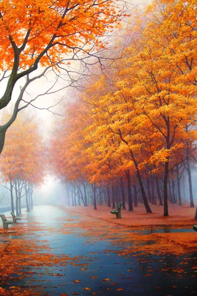 Дорога в осень обои