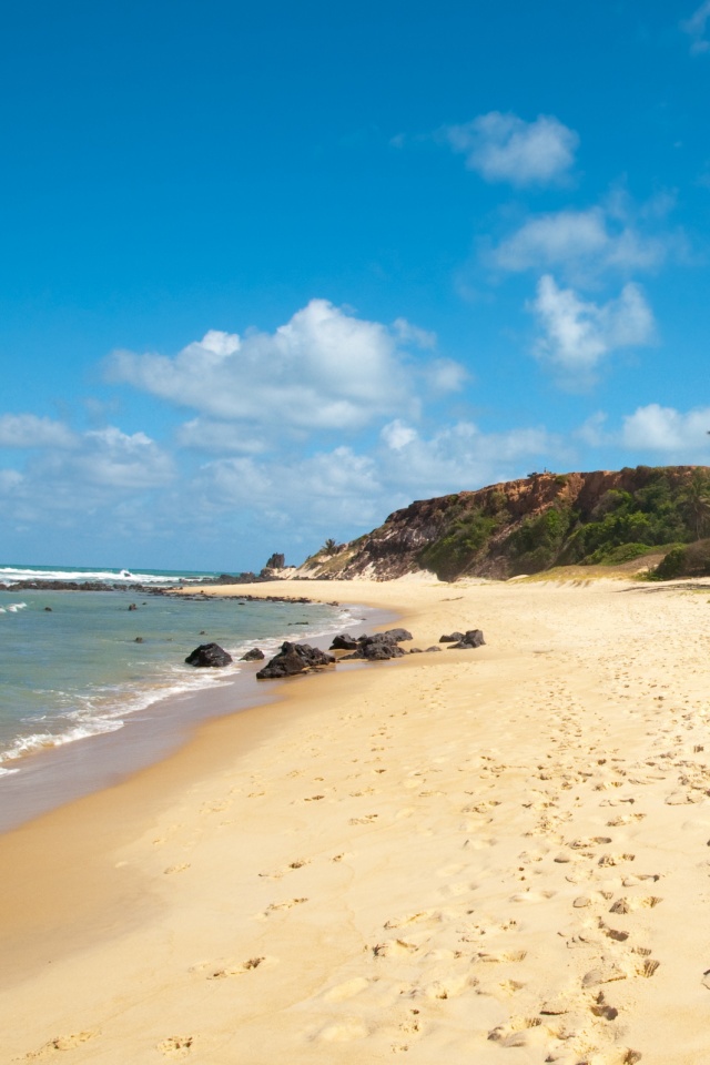Туры в Бразилию в Лондрину обои