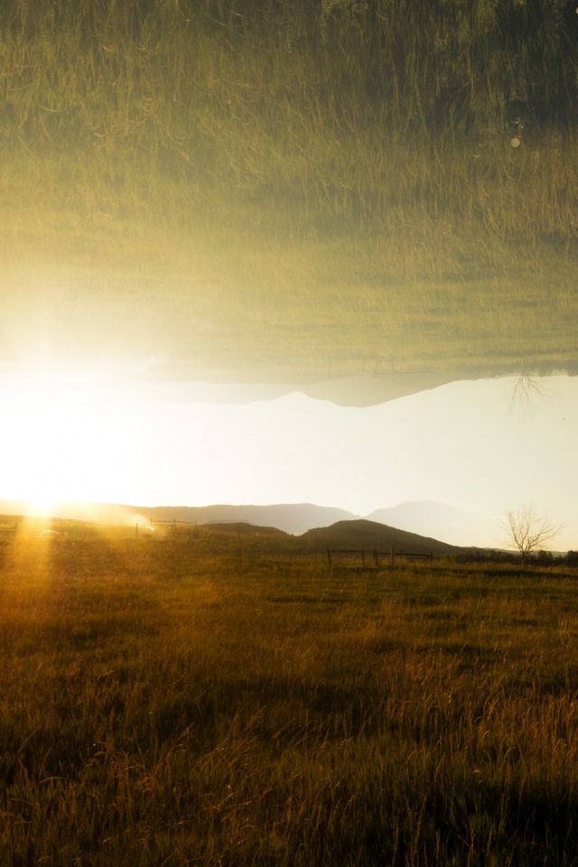 Перевернутый пейзаж обои