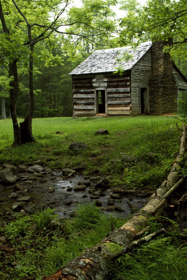 Домик в лесу обои