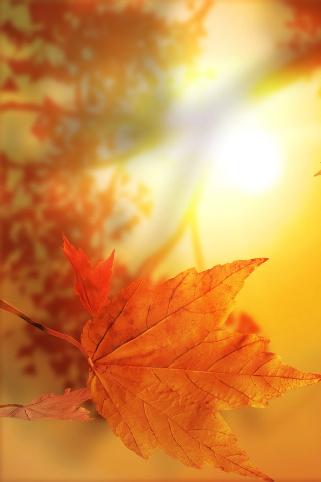 Осенний блюз обои