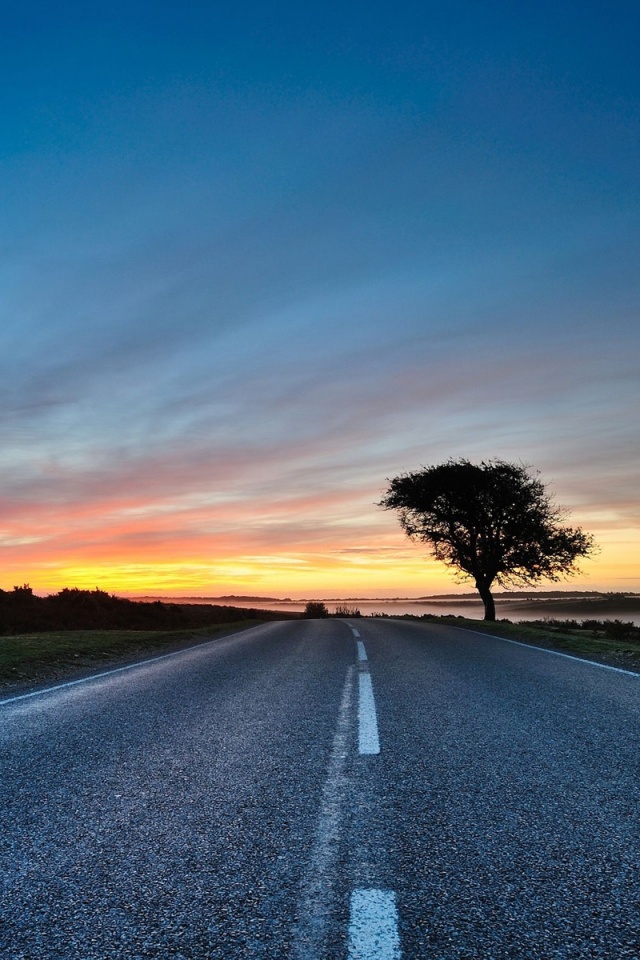 Дорога обои