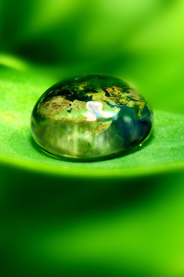 Целый мир в капле воды обои