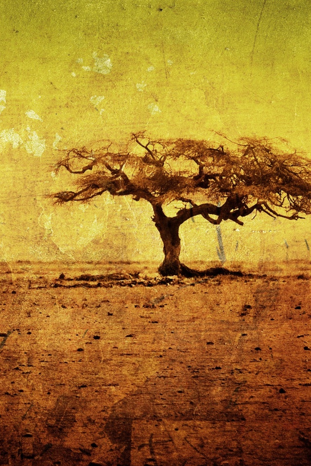 Гранжевое дерево в саванне обои