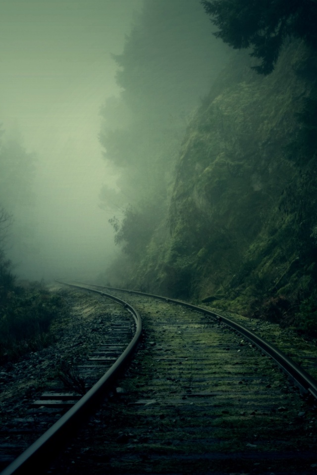 Рельсы уходя в туман обои
