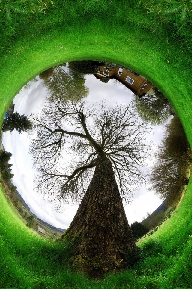 Другой взгляд на мир обои