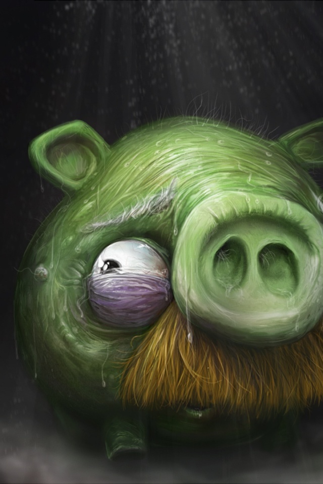 Свинья из Angry Birds обои