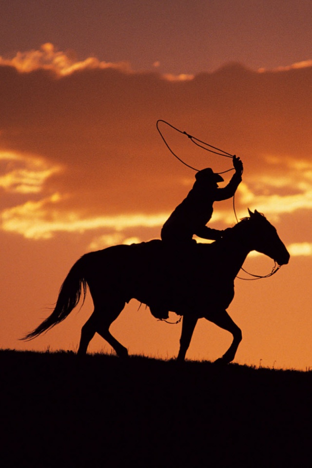 Силуэт ковбоя на закате обои