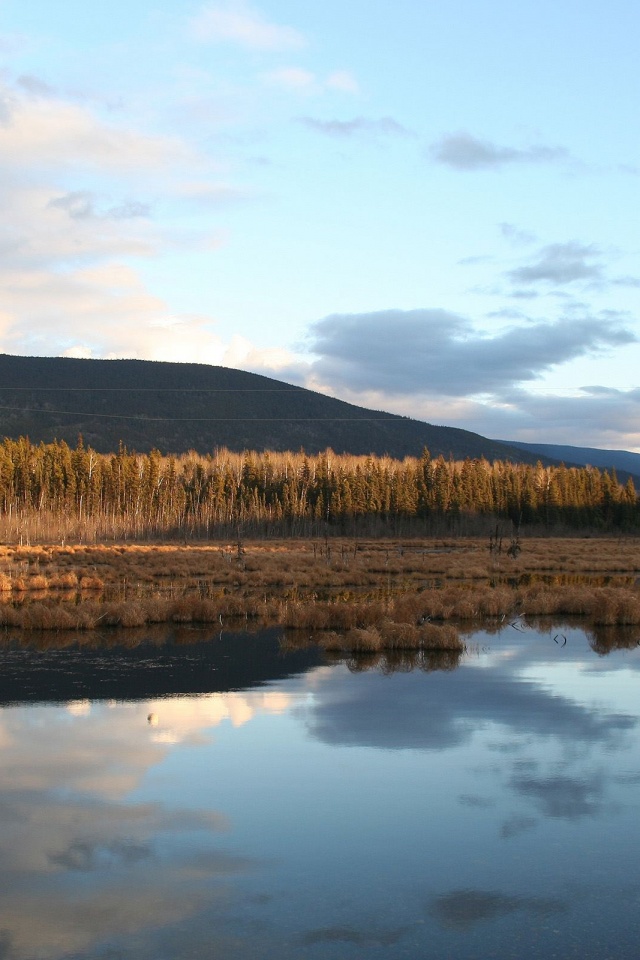 Осеннее озеро обои