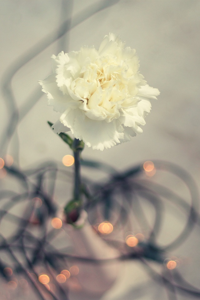 Электронный цветок обои