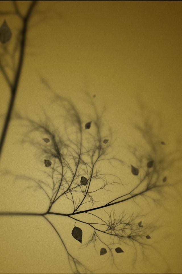 Это осень обои