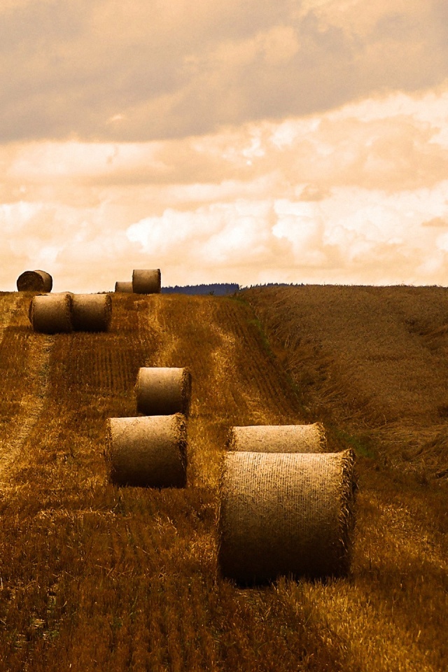 Уборка сена с поля обои