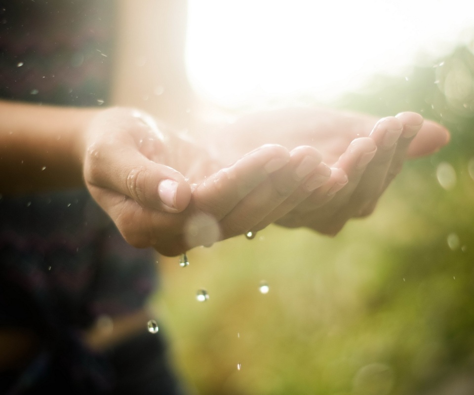 Дождь в ладонях обои