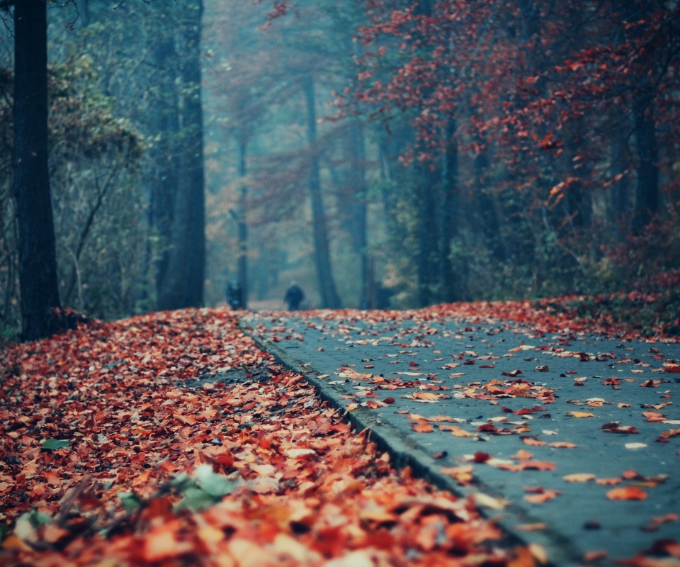 Осенняя дорога обои