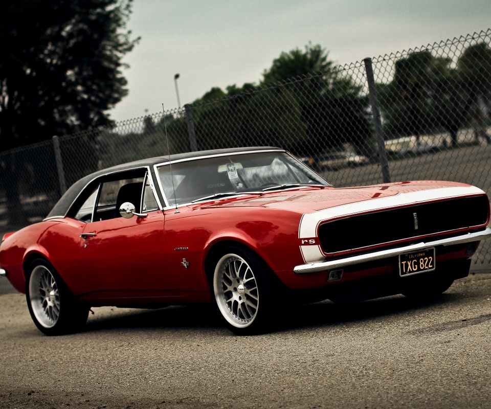 Красный монстор обои