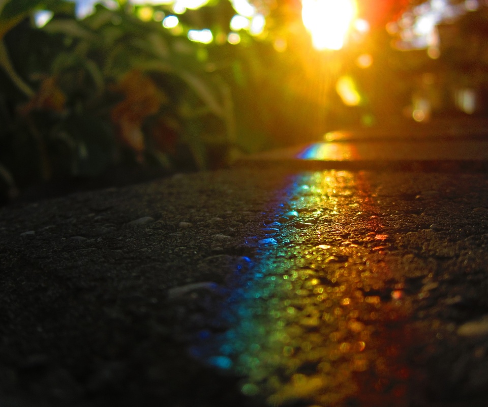 Макро радуга на камне обои