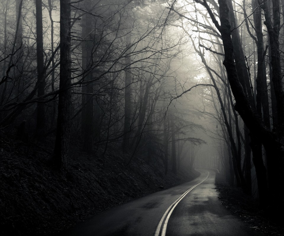 В туман обои