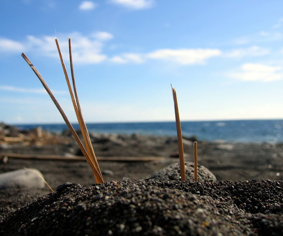 Солома на океанском берегу обои