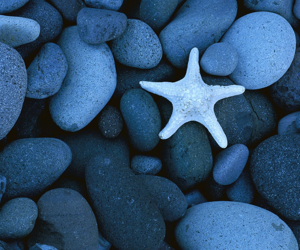 Звезда на морской гальке обои