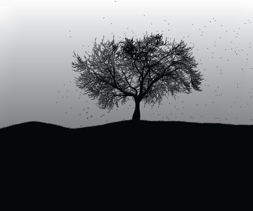 Черное дерево обои
