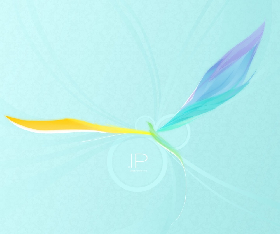 Силуэт птицы обои