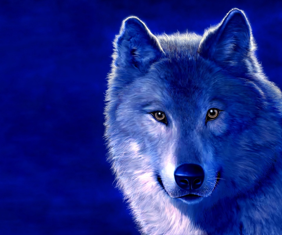 Рисунок волка обои