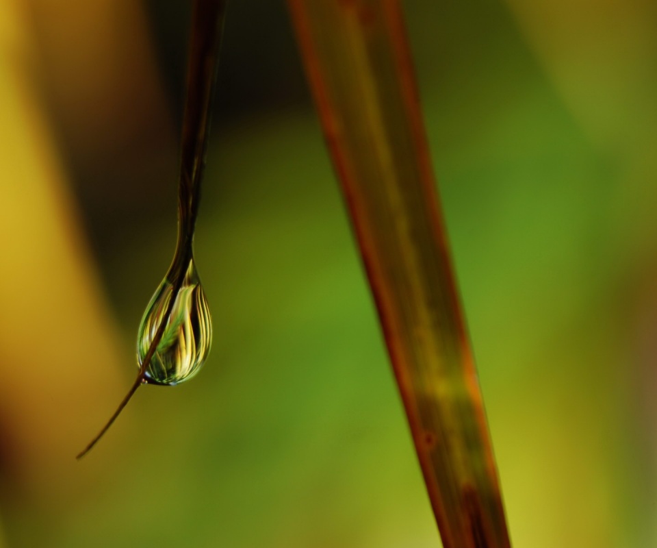Стекающая капля обои