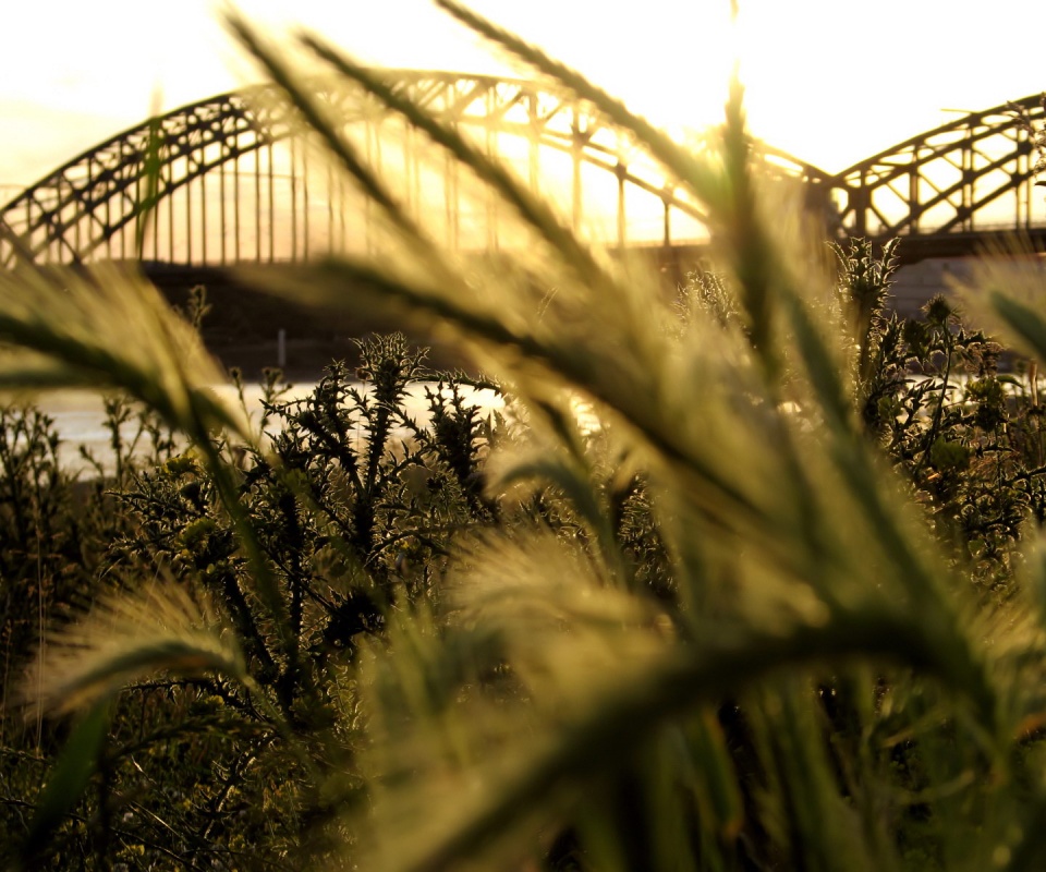 Железнодорожный мост обои