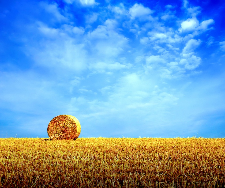 СОломеннынй рулон обои