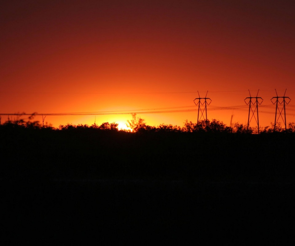 Закат за лесом обои