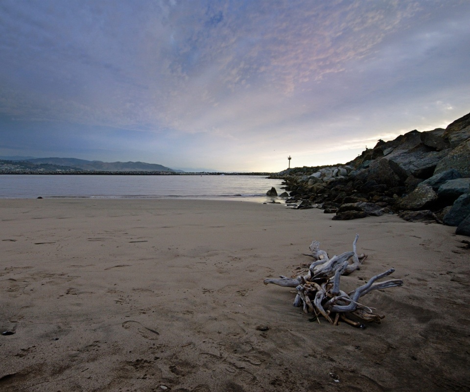 Коряга не берегу обои