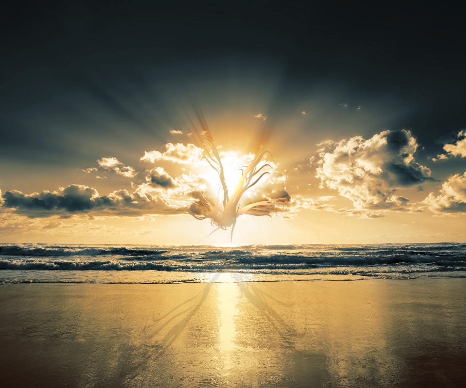 Абстрактные перья на фоне заката обои