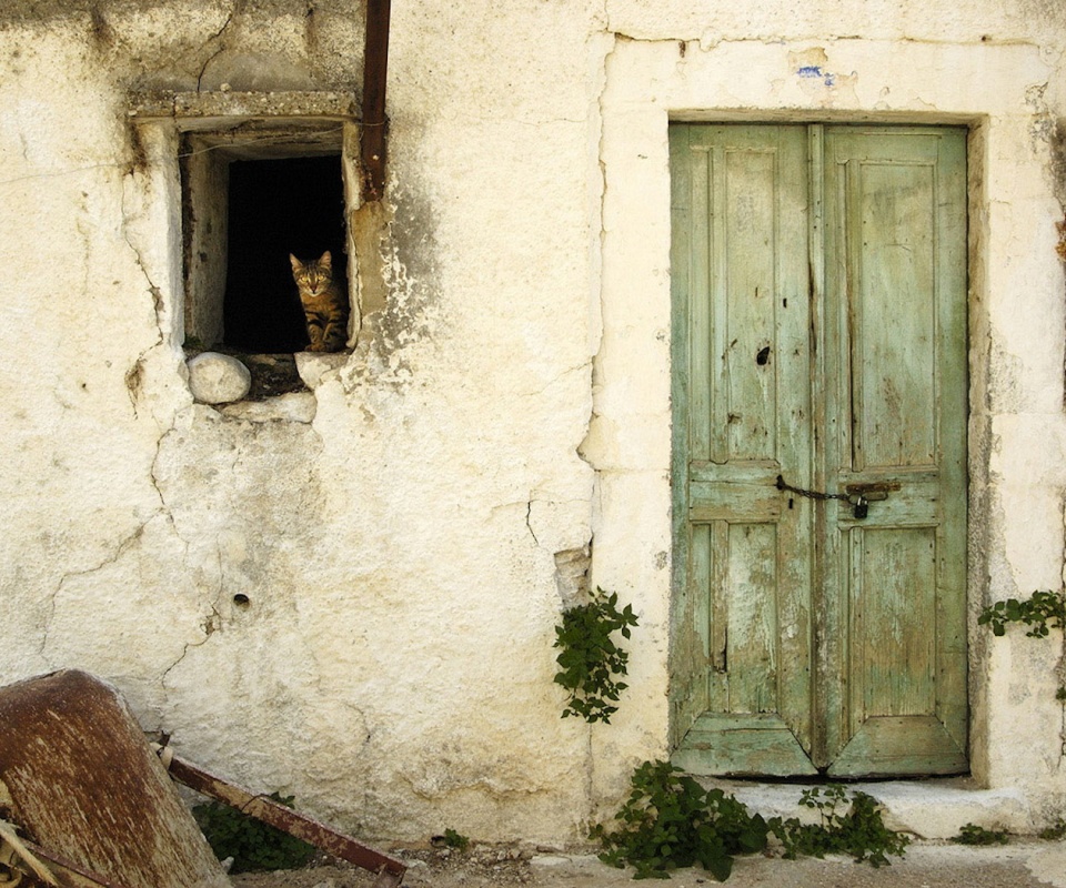 Кот выглядывает из разрушенного дома обои