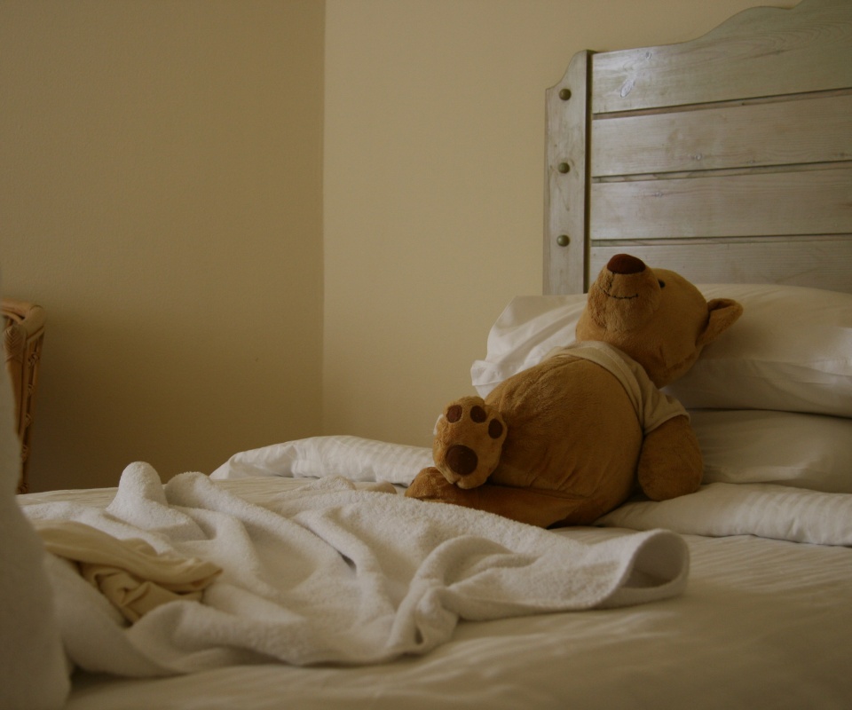 Медвежонок в постели обои