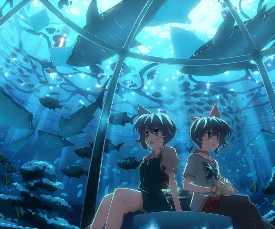 В океанариуме обои