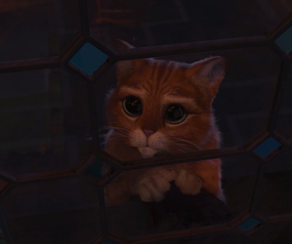 Кот в сапогах обои