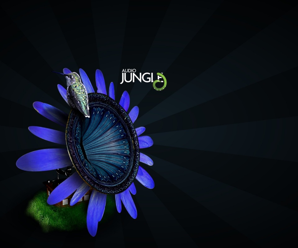 Звуки джунглей обои